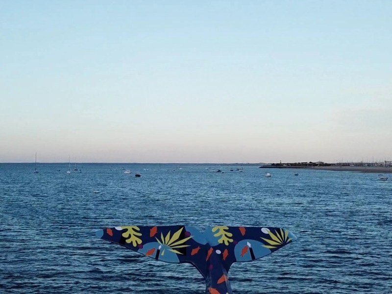 Sessions Solaires avec PinchFloyd –&nbsp;2021