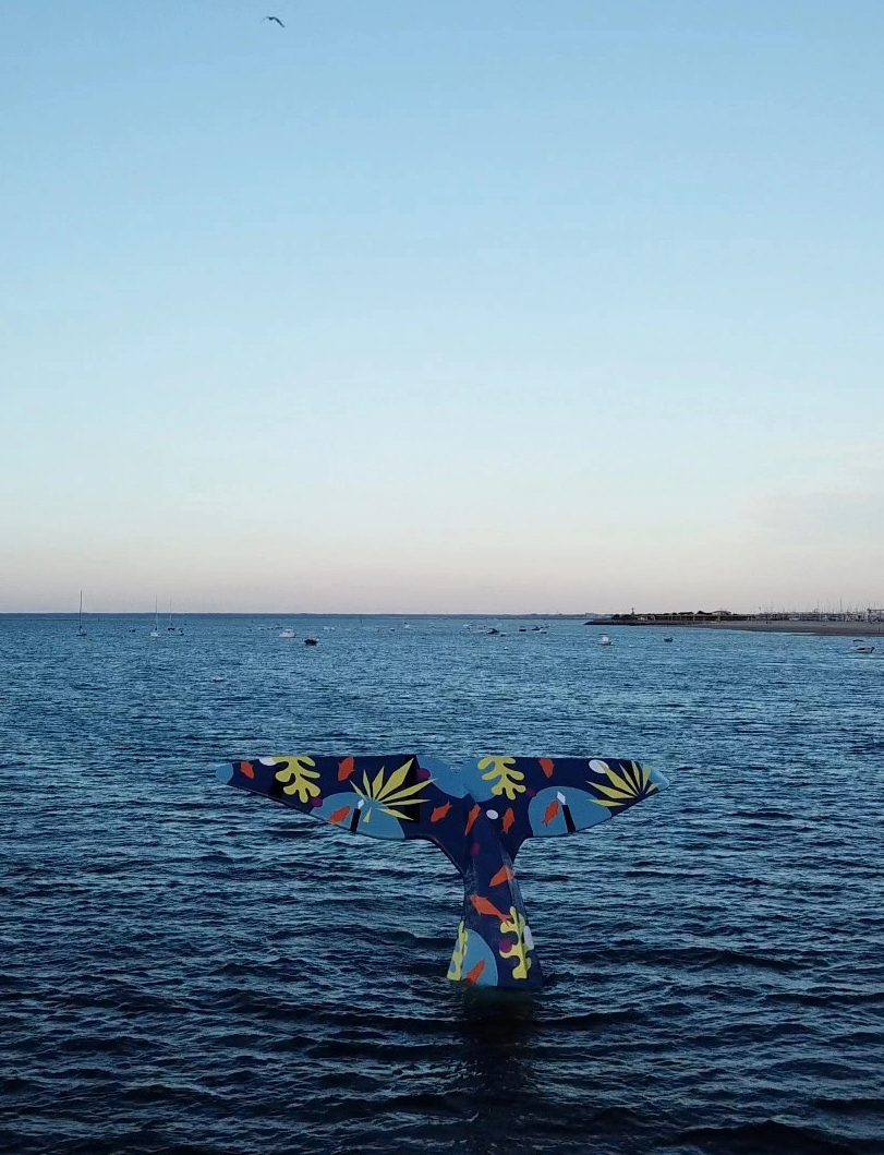 Sessions Solaires avec PinchFloyd –&nbsp;2021